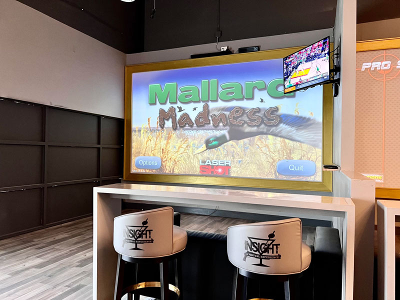 Image of a large video screen displaying the game Mallard Madness